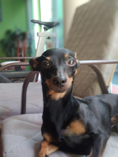 Rocky
