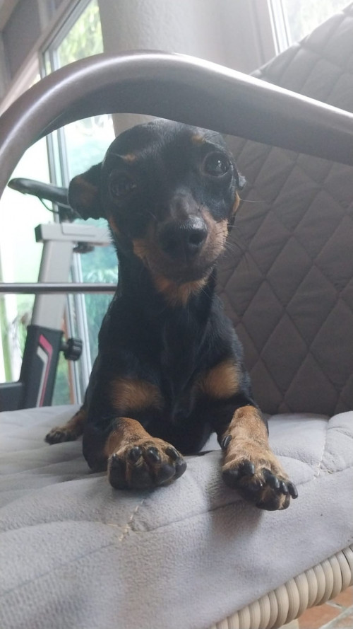 Rocky