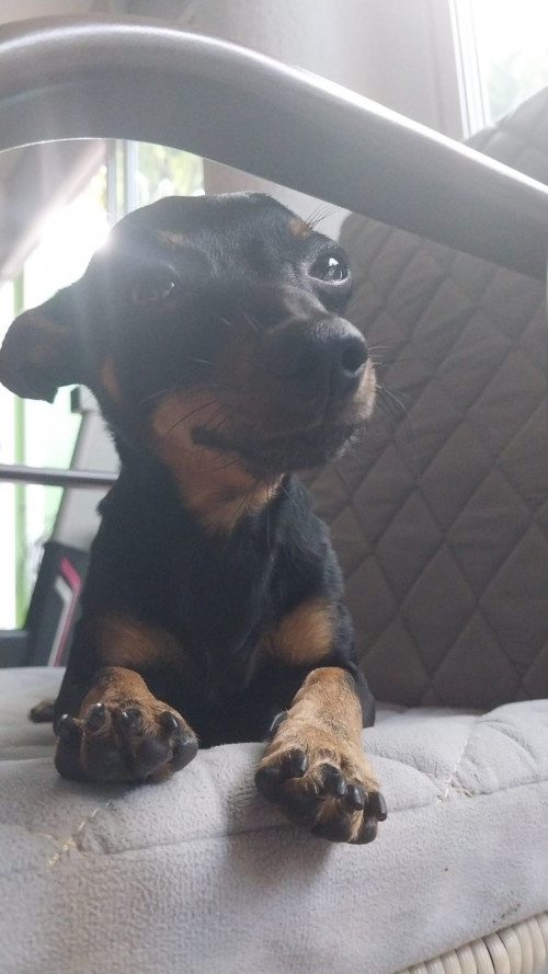 Rocky