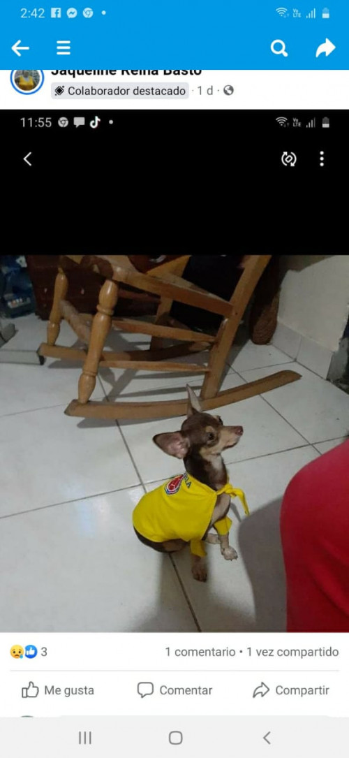 Minuto