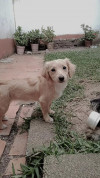Foto de Kika en Morelia Michoacán #3