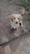 Foto de Kika en Morelia Michoacán #2
