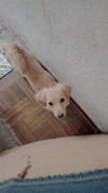 Foto de Kika en Morelia Michoacán #1