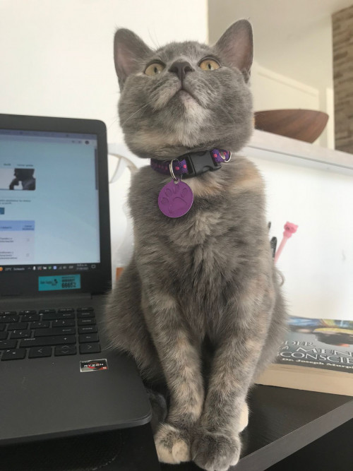 Frida
