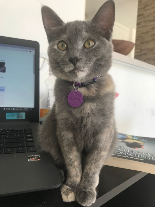 Frida