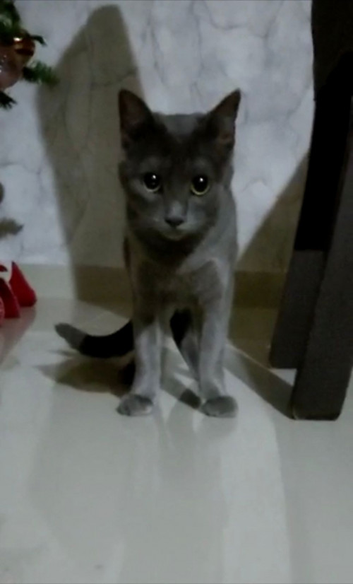 Luna