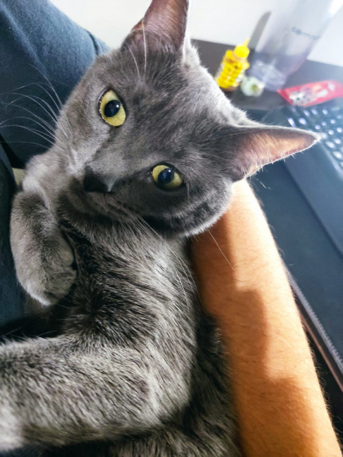 Luna