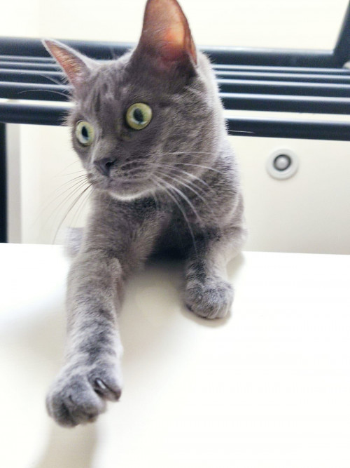 Luna