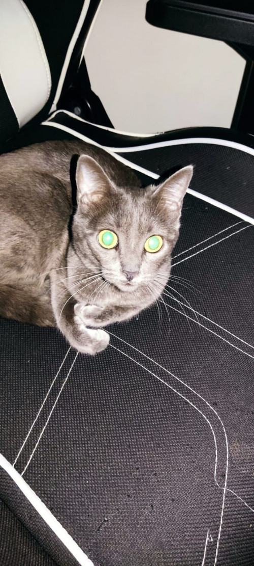 Luna