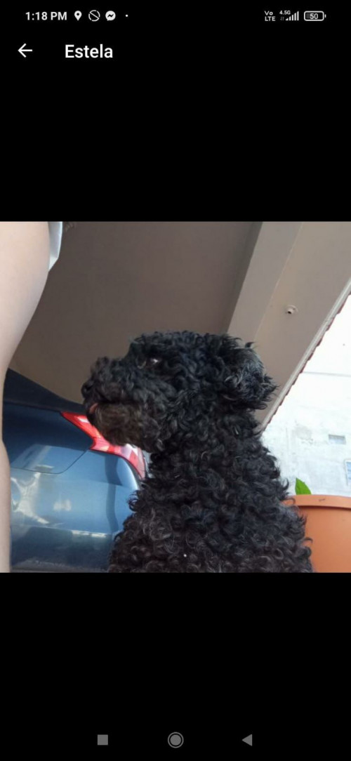 Nena