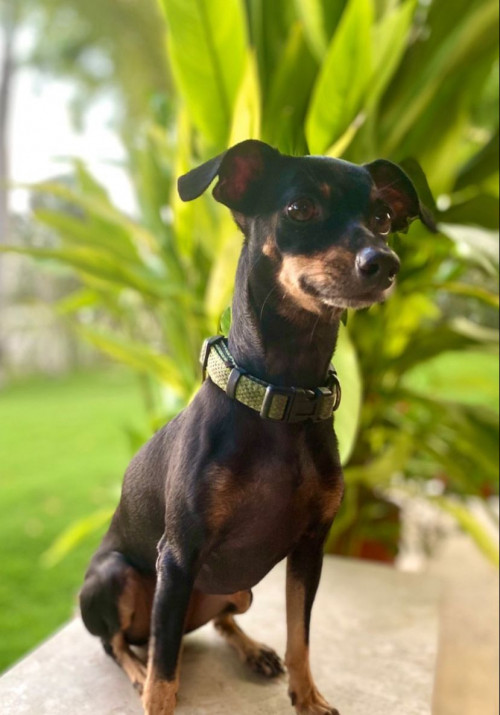 Fiona