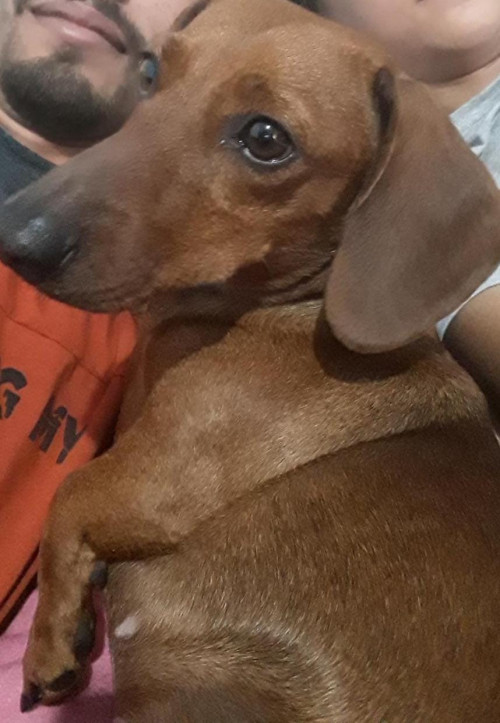 Mía
