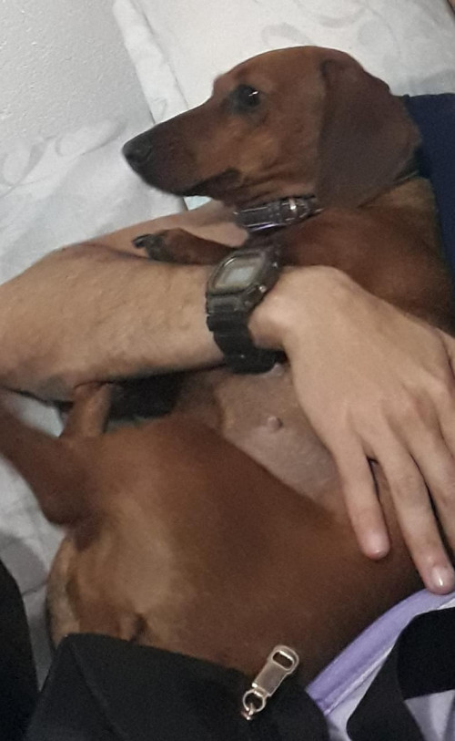 Mía