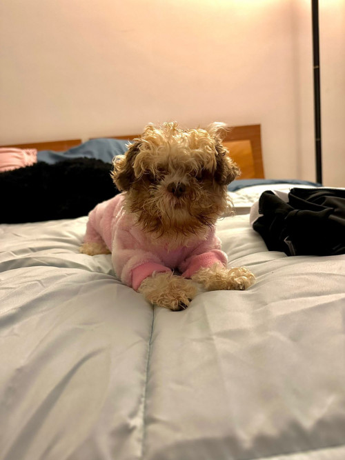 Molly