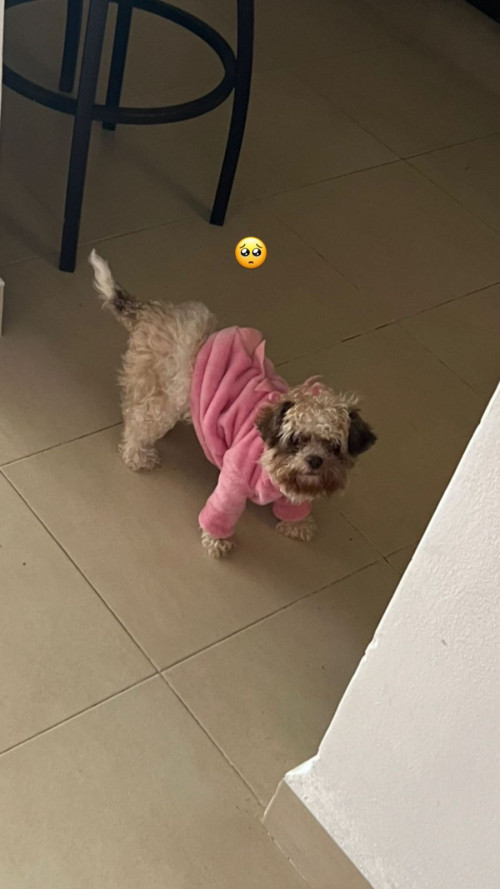 Molly
