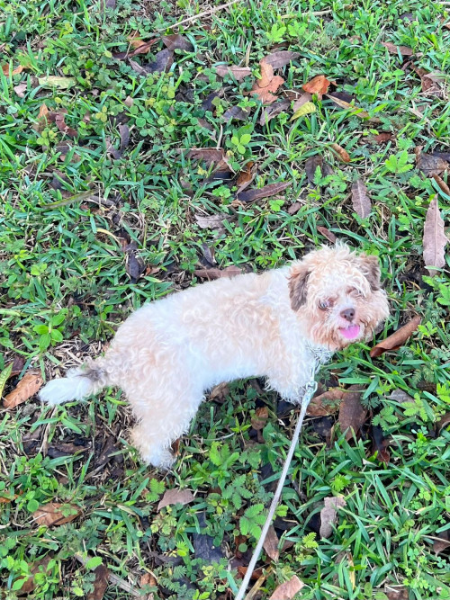 Molly