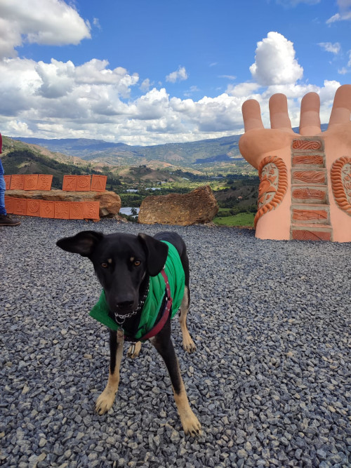 José Luis