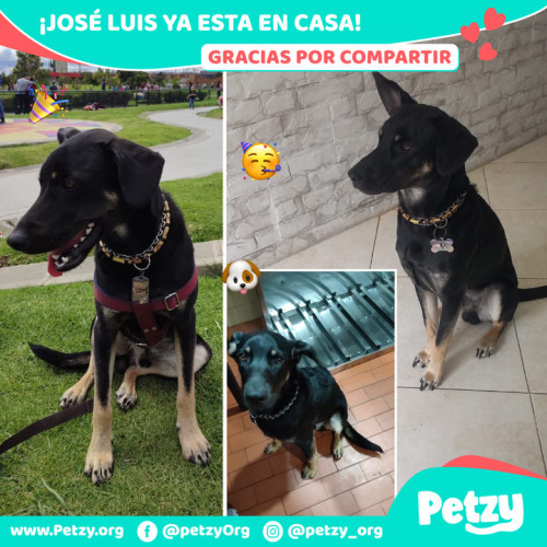 Foto de mascota José Luis