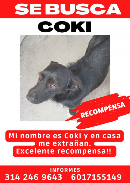 Coky