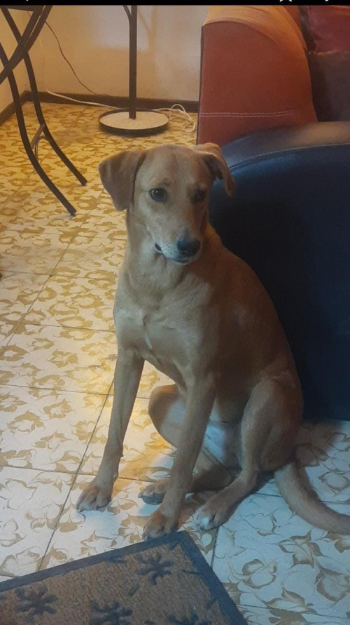 Bartolita Y Vainilla