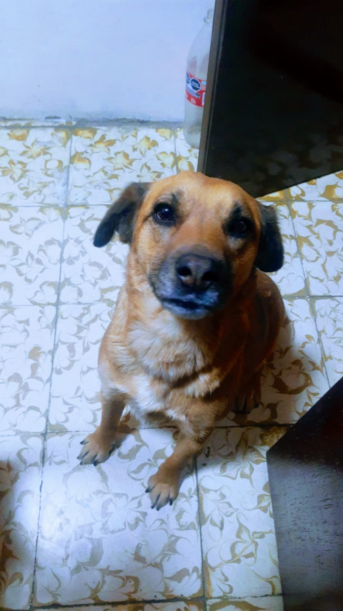 Bartolita Y Vainilla