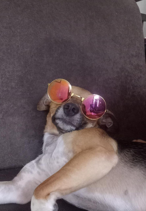 Kira