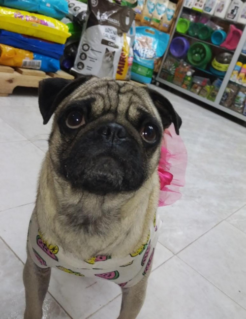 Kiara