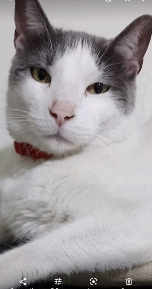 Nilo