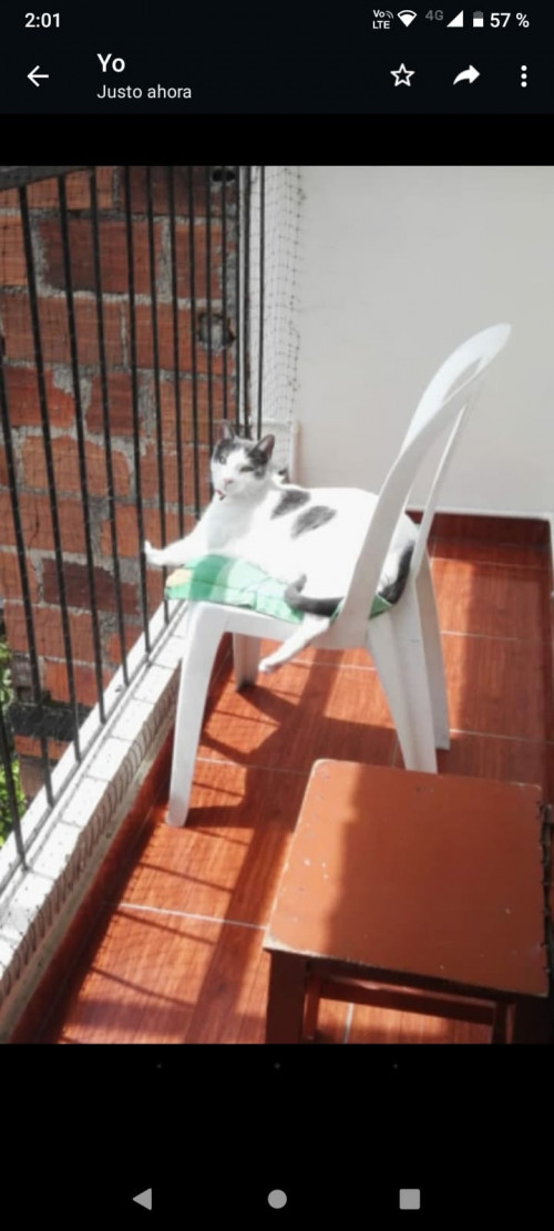 Nilo