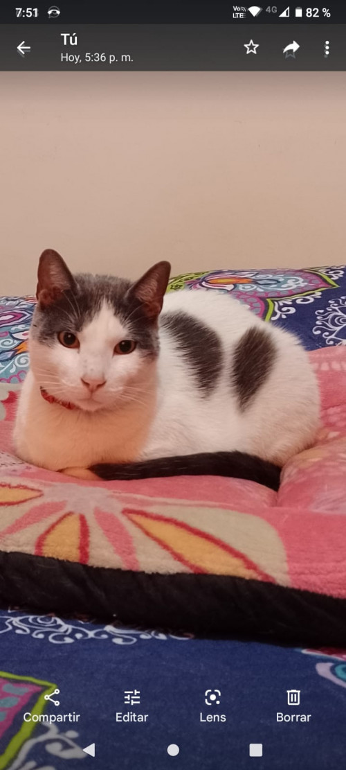 Nilo