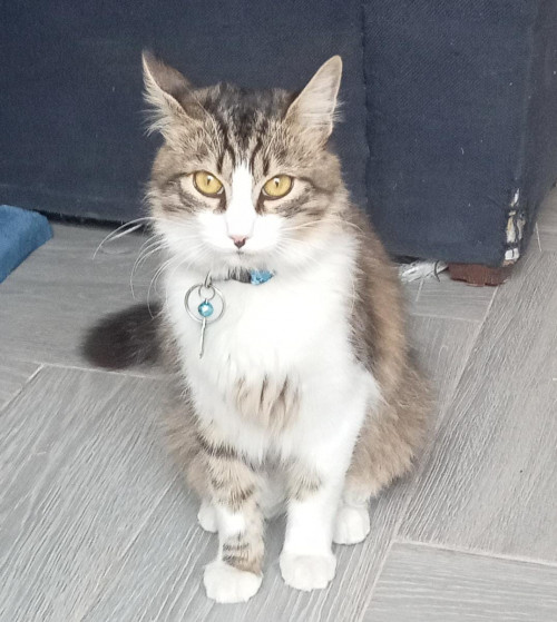 Benito