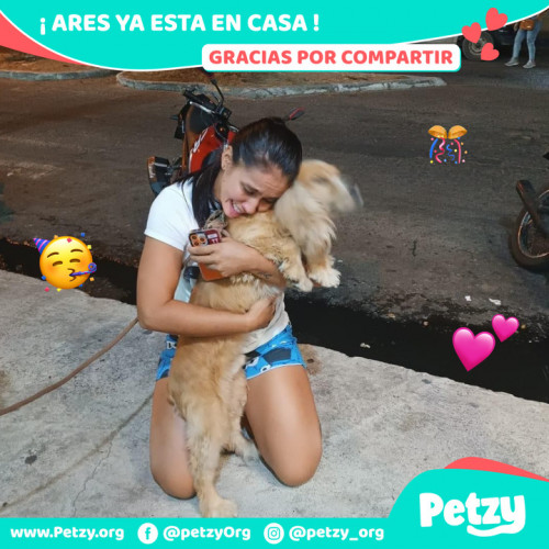 Foto de mascota Ares