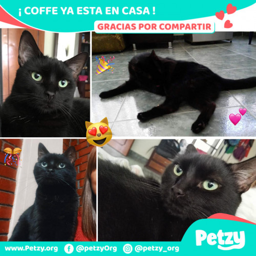 Foto de mascota Coffe