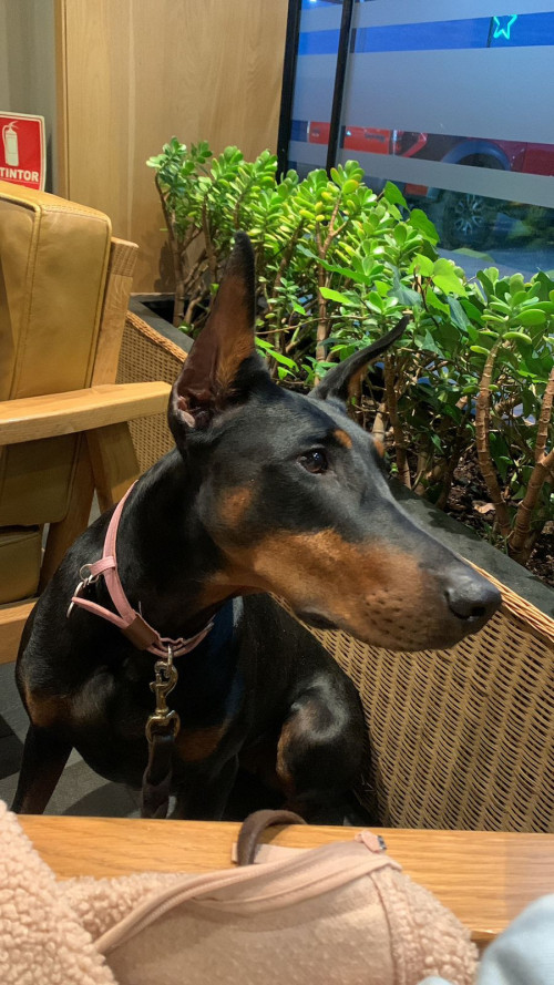 Matilda