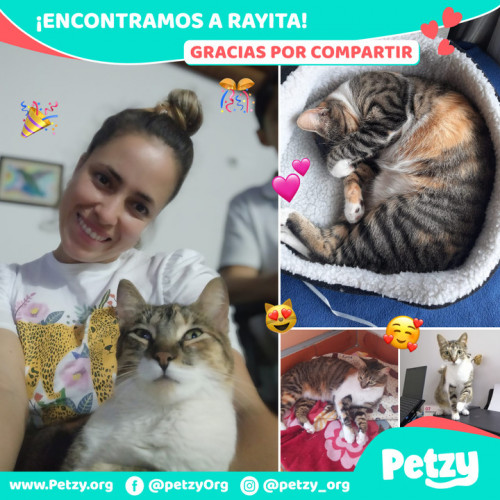 Foto de mascota Rayita