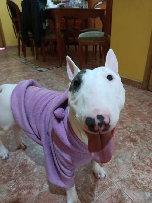Martina