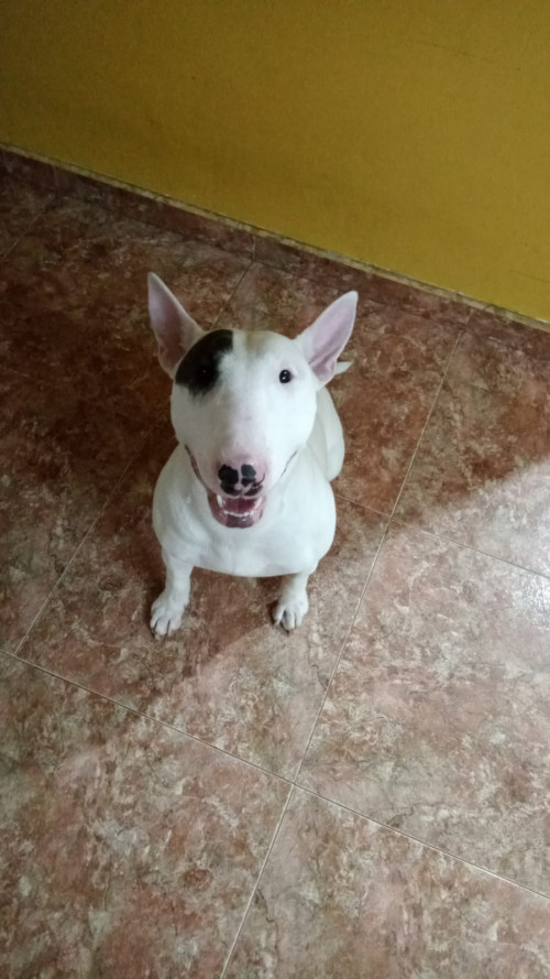 Martina