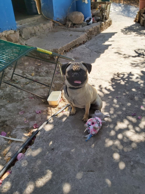Coco