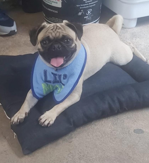 Coco