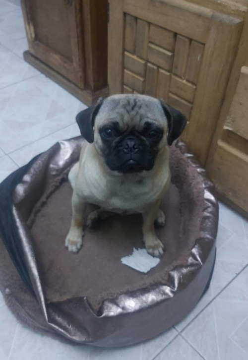 Coco