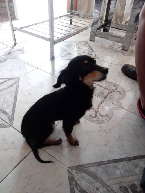 Charly