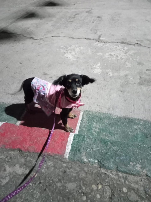 Charly