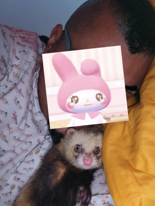 Joji