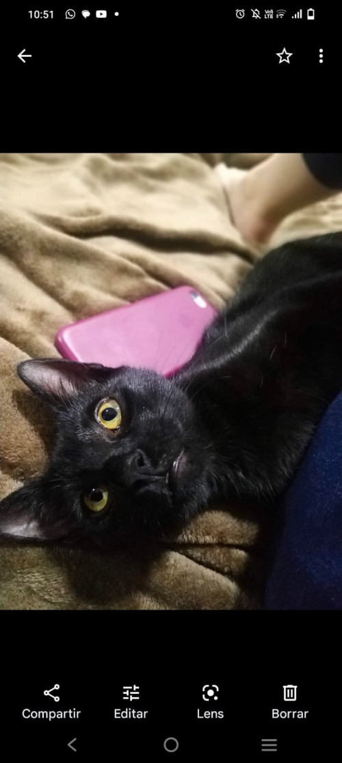 Gia