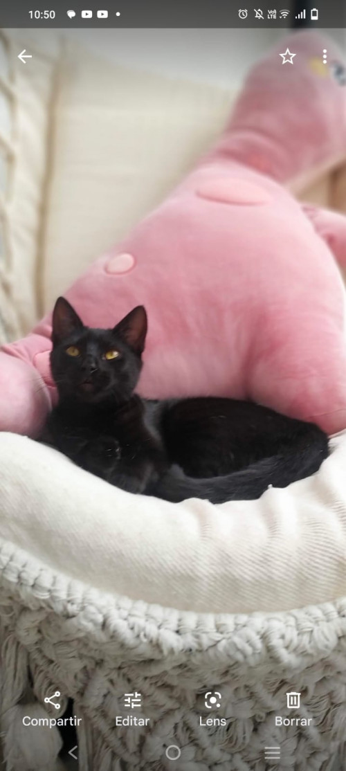 Gia