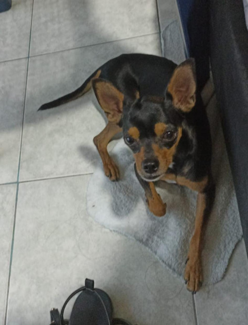 Max