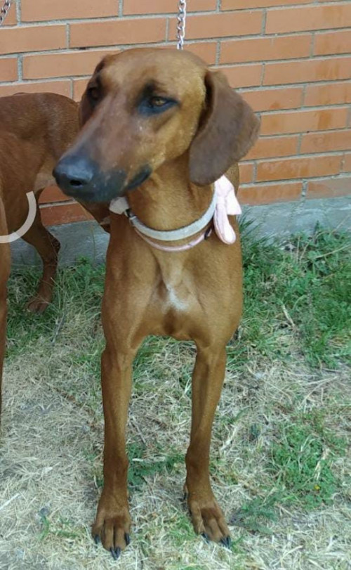 Nena