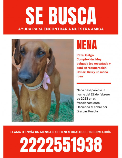 Nena