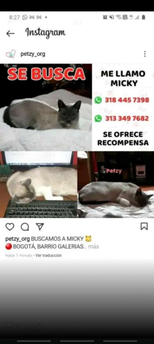 Micky