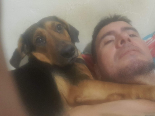 Rocky Y Luna